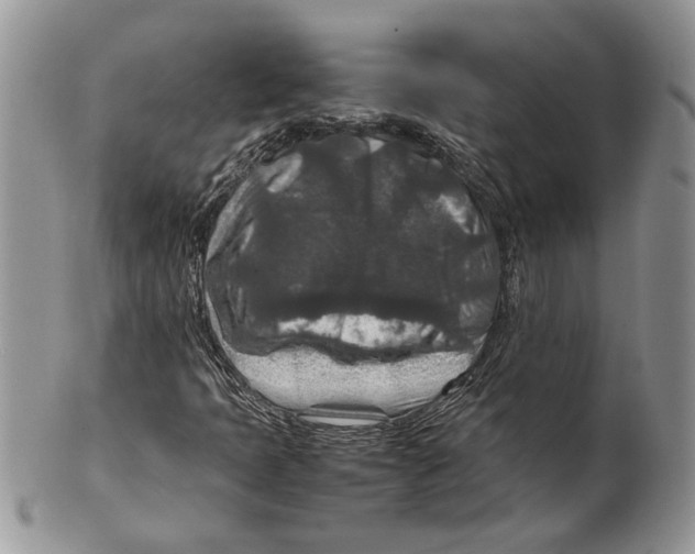 X0000099571397200806131246