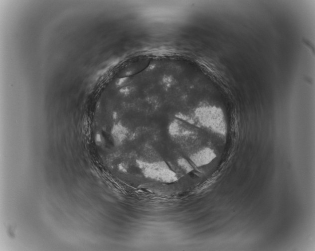 X0000099571398200806131246