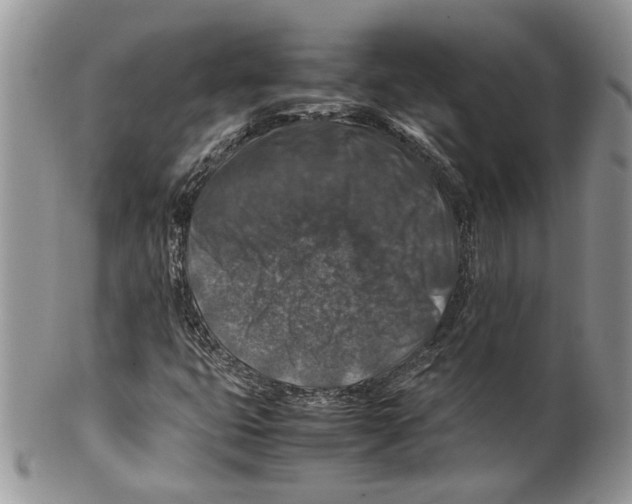 X0000099571399200806131246