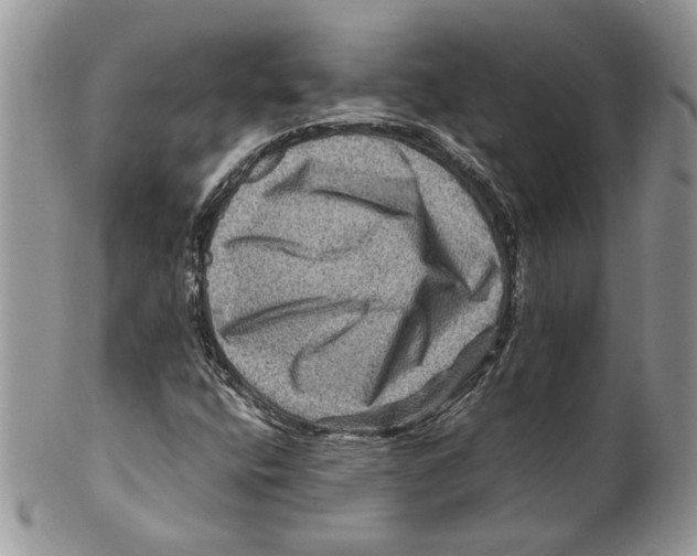 X0000099571400200806131246