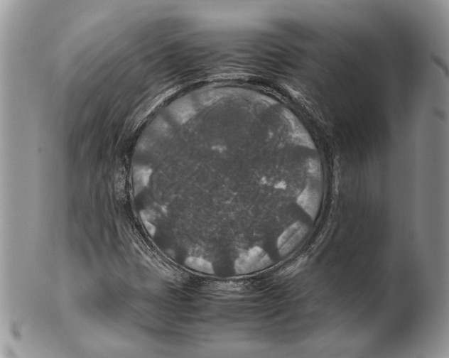 X0000099571401200806131246