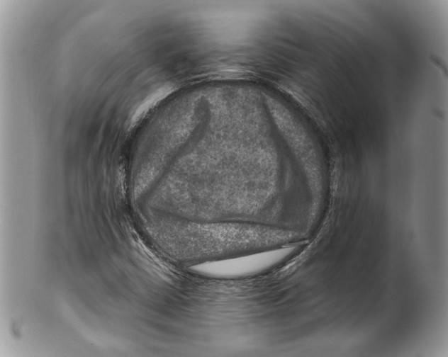 X0000099571402200806131246