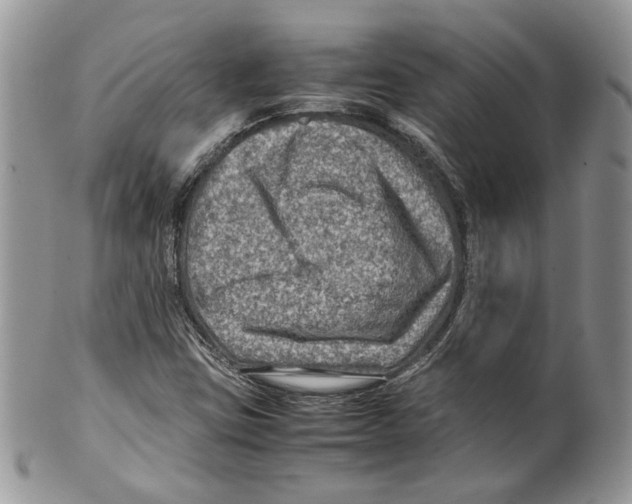 X0000099571403200806131246