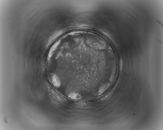 X0000099571405200806131246