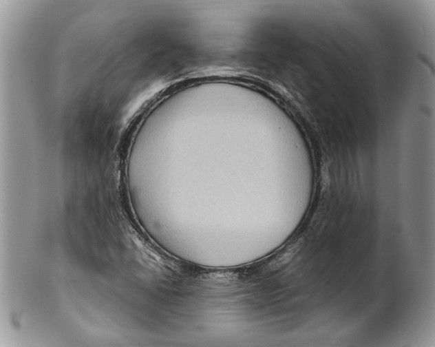 X0000099571406200806131246