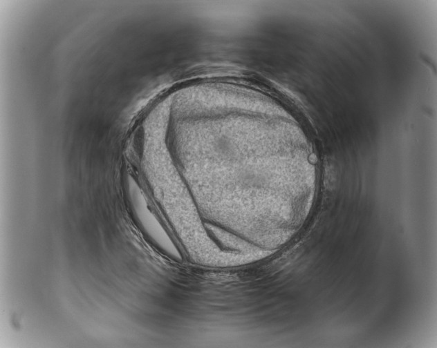 X0000099571407200806131246
