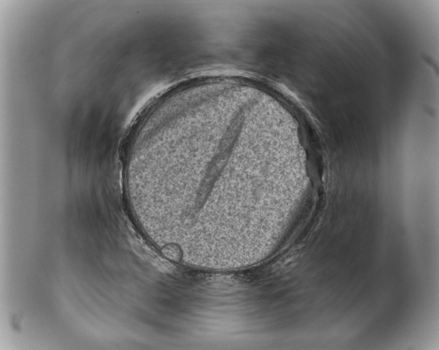 X0000099571408200806131246