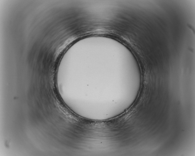 X0000099571410200806131246