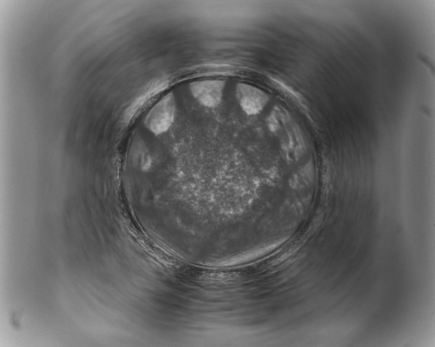 X0000099571411200806131246