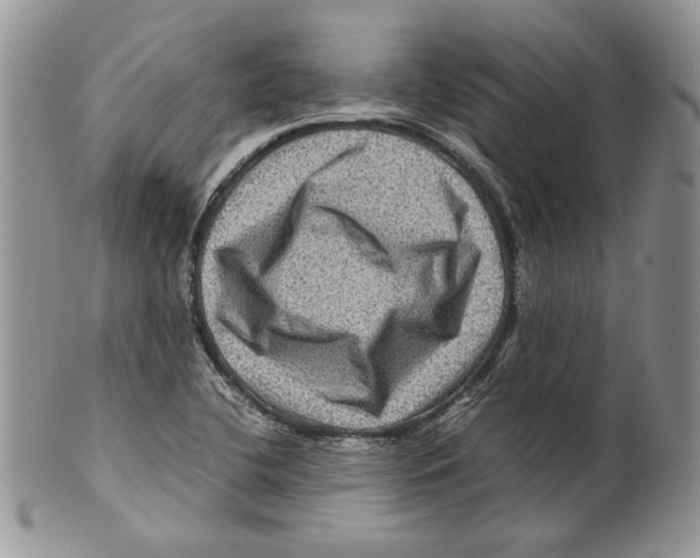 X0000099571412200806131246