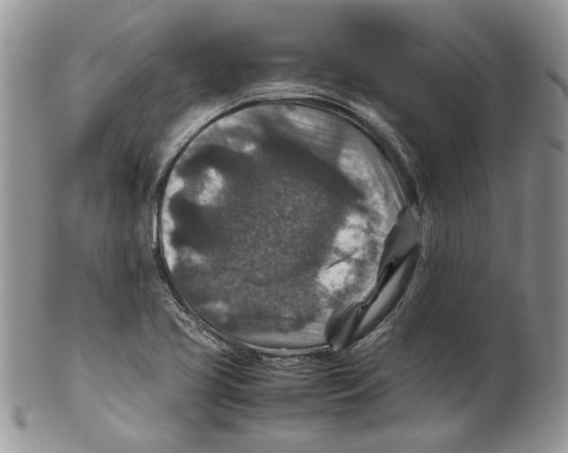 X0000099571413200806131246