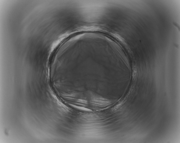 X0000099571414200806131246