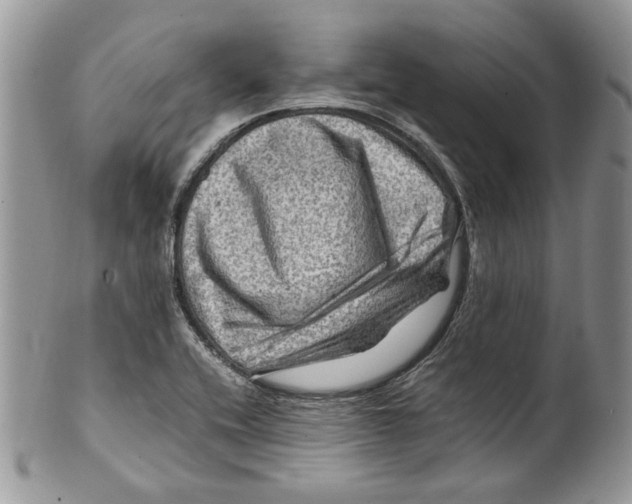 X0000099571416200806131246