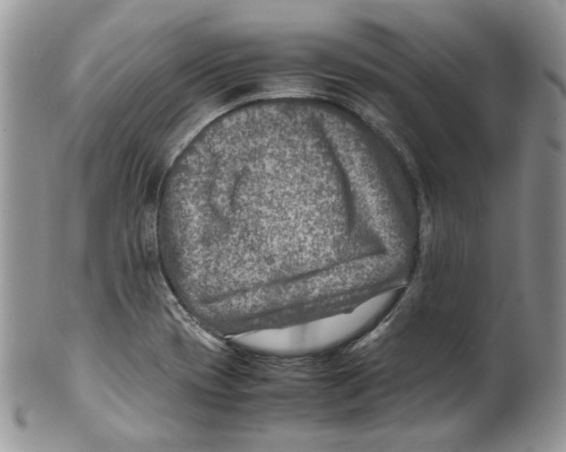 X0000099571417200806131246