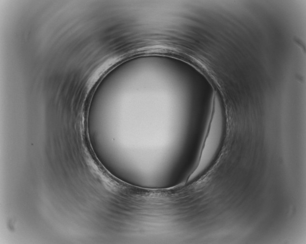 X0000099571418200806131246