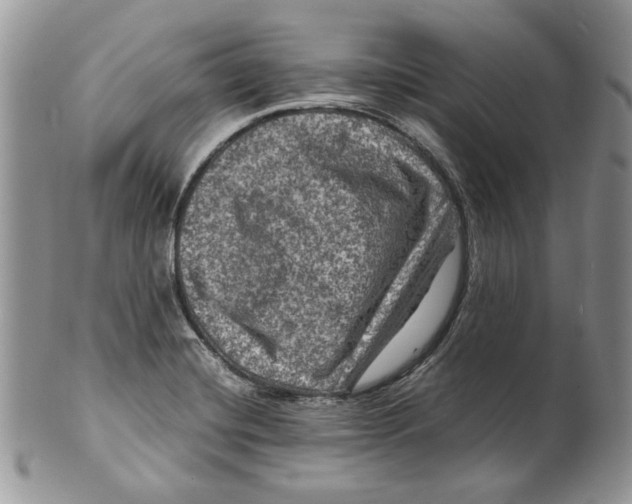 X0000099571420200806131246