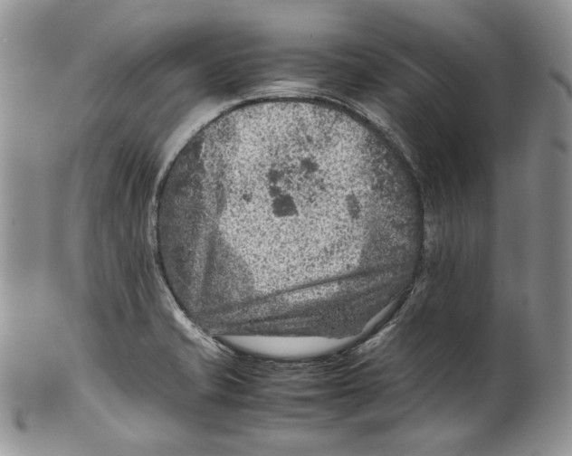 X0000099571421200806131246