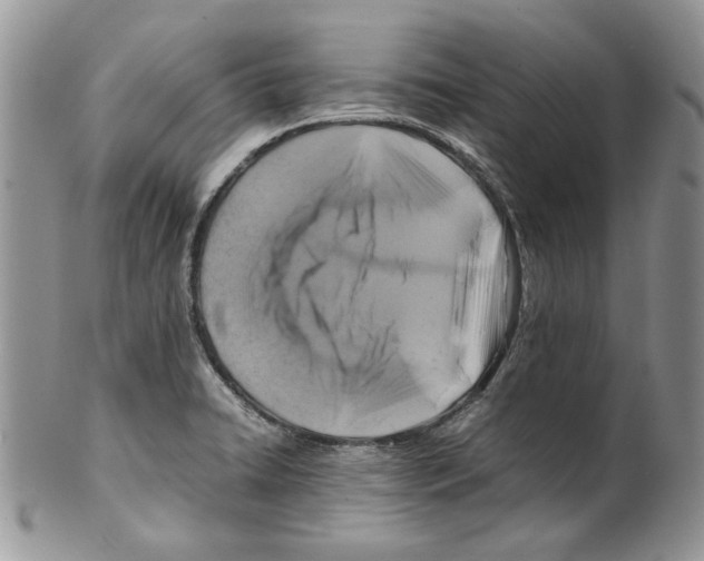 X0000099571422200806131246