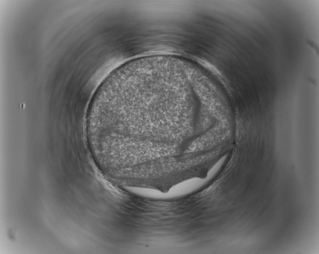 X0000099571423200806131246