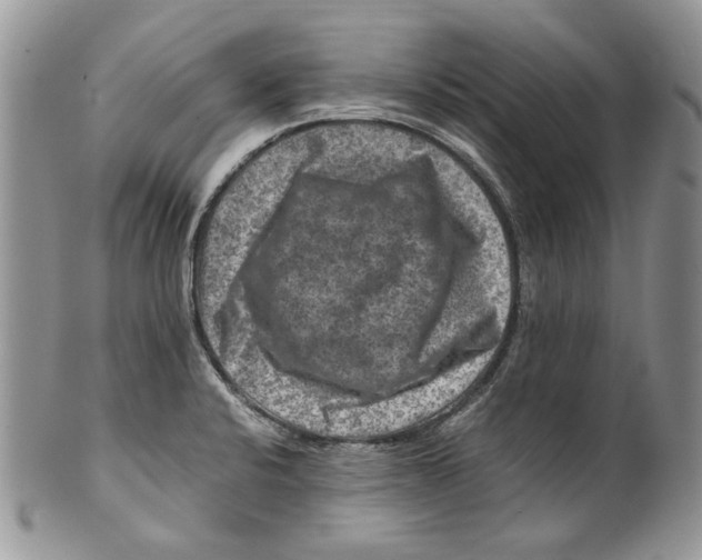 X0000099571424200806131246