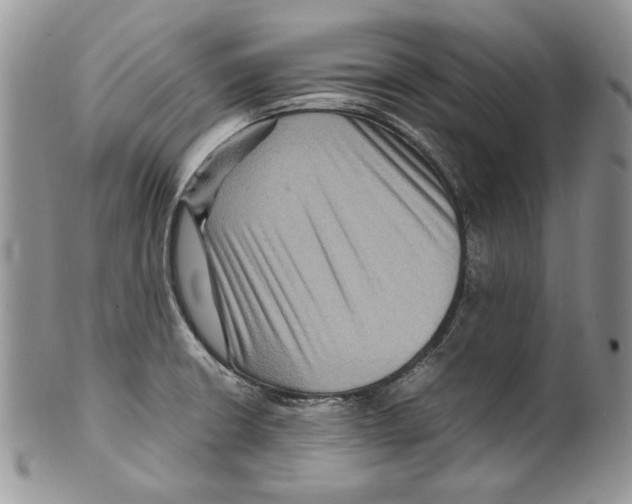 X0000099571426200806131246