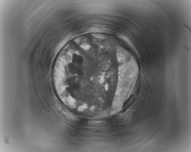 X0000099571427200806131246