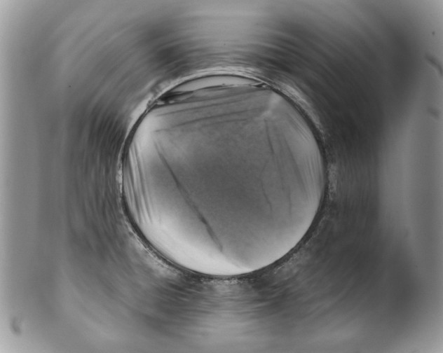 X0000099571428200806131246