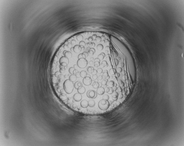 X0000099571432200806131246