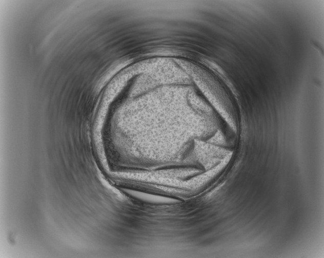 X0000099571433200806131246