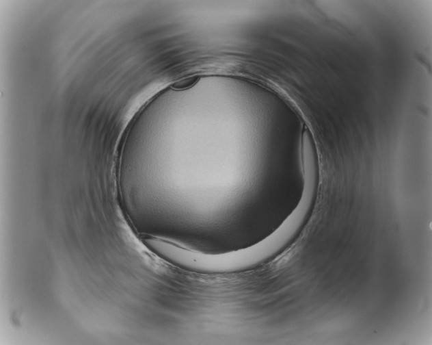 X0000099571434200806131246
