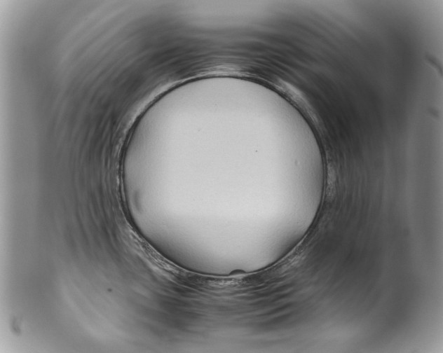 X0000099571435200806131246