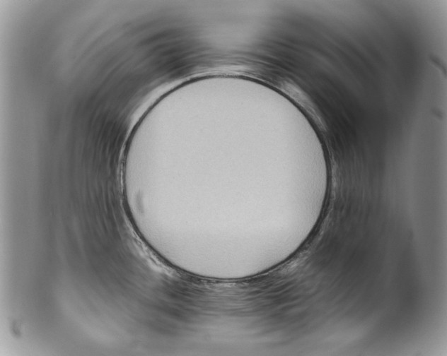 X0000099571436200806131246