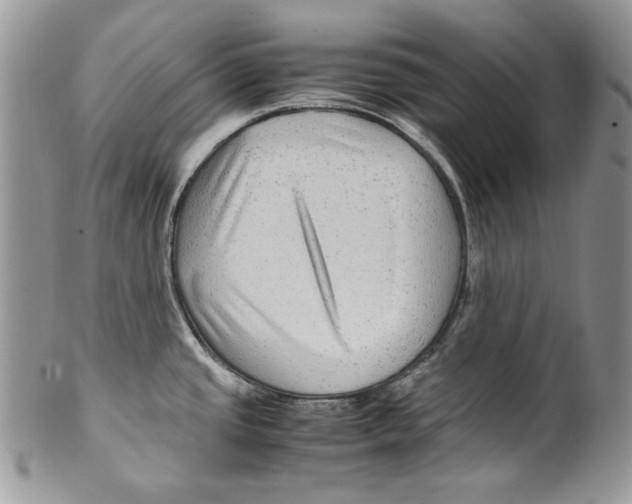 X0000099571437200806131246