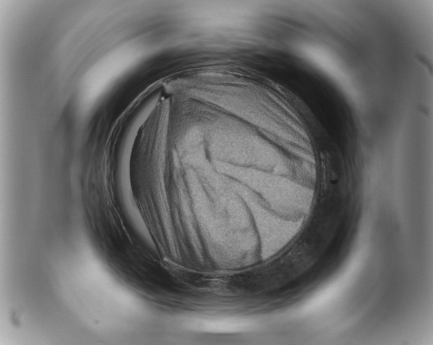 X0000099571438200806131246