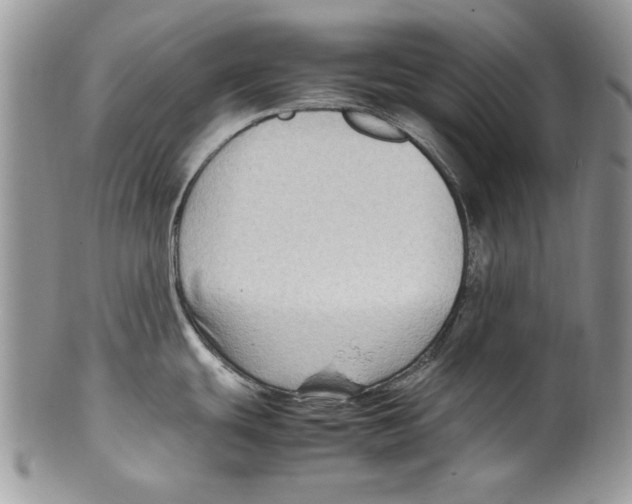 X0000099571439200806131246
