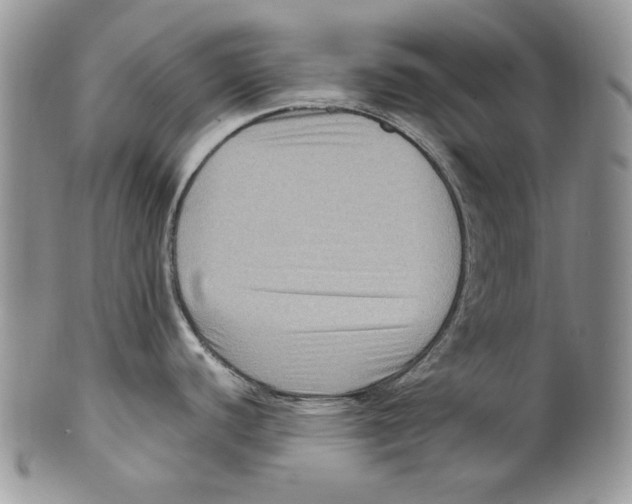 X0000099571440200806131246