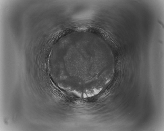 X0000099571441200806131246