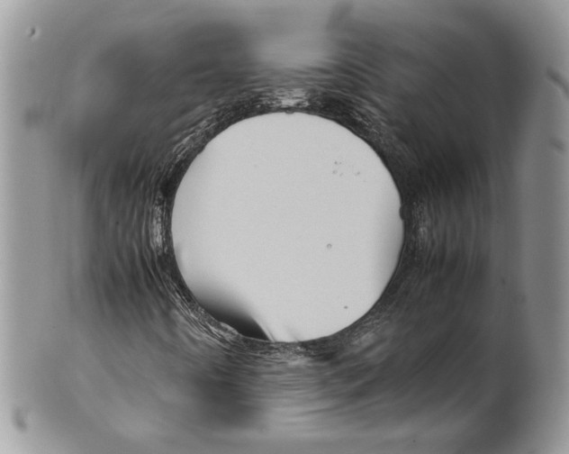 X0000099571442200806131246