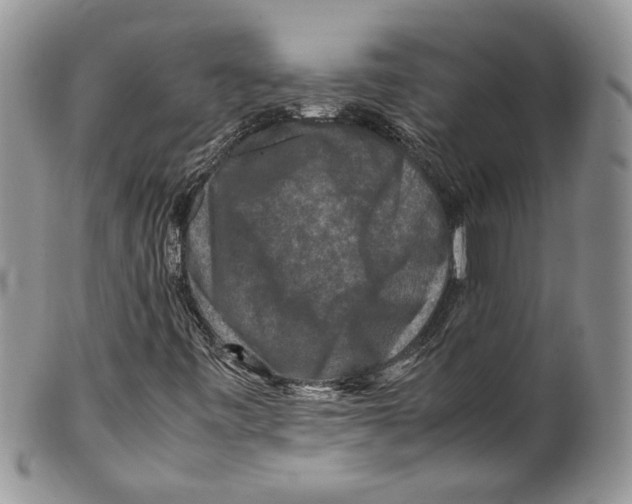 X0000099571443200806131246