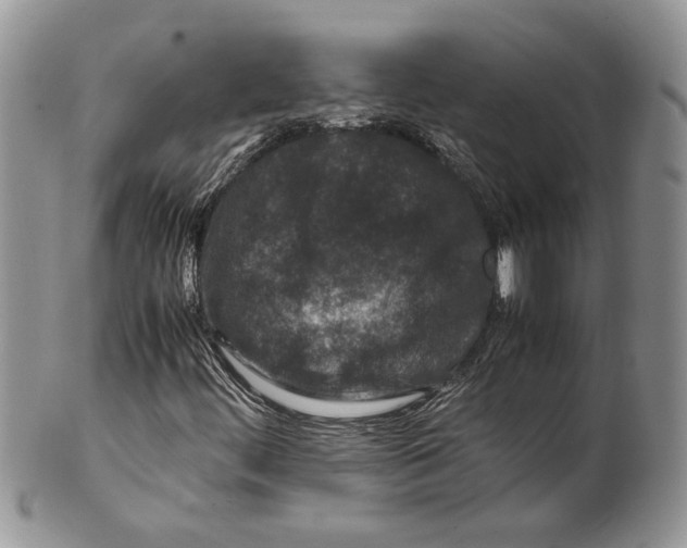 X0000099571444200806131246