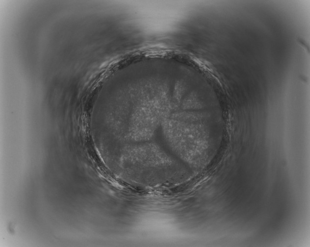 X0000099571445200806131246