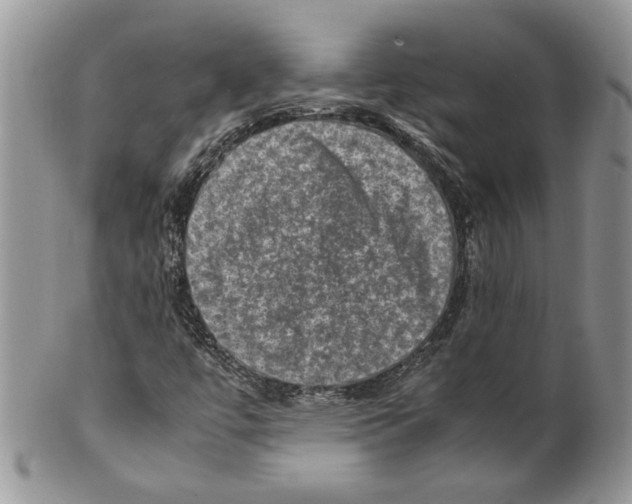 X0000099571447200806131246