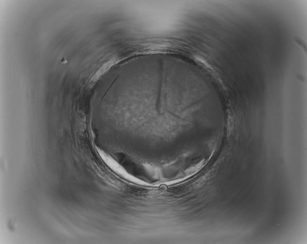 X0000099571449200806131246