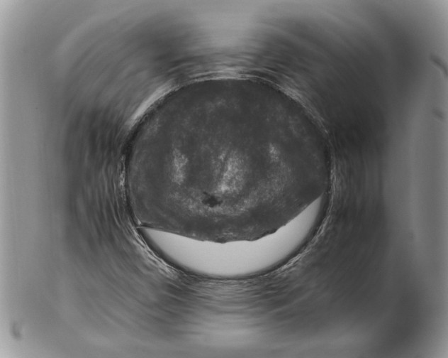 X0000099571450200806131246
