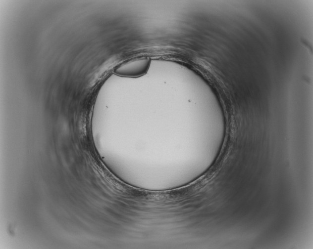 X0000099571451200806131246