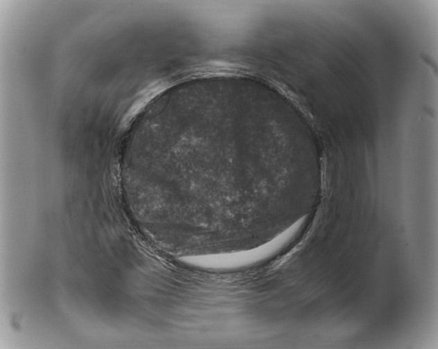 X0000099571453200806131246