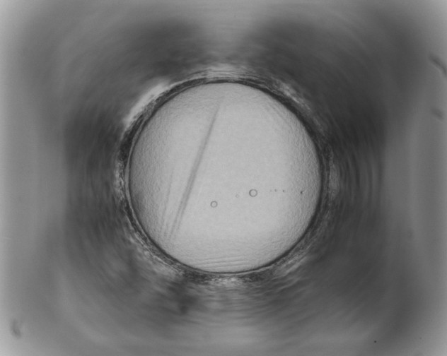 X0000099571454200806131246