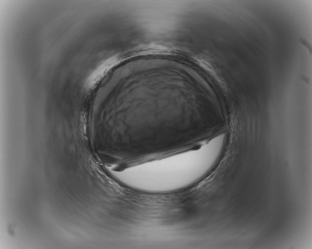 X0000099571455200806131246