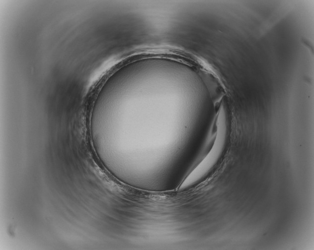 X0000099571456200806131246