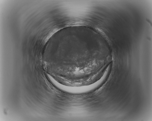 X0000099571457200806131246